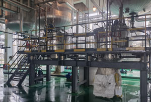 大周全自動刮刀離心機現場